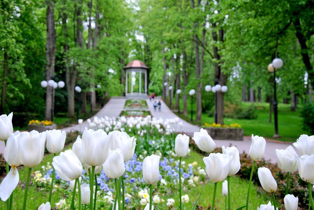 Wielka Pieniawa Поляница-Здруй Экстерьер фото